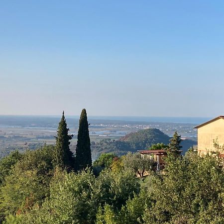 La Casina Delle Rondini ξενώνας Corsanico-Bargecchia Εξωτερικό φωτογραφία