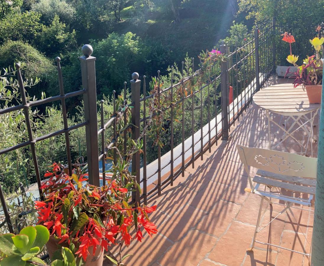 La Casina Delle Rondini ξενώνας Corsanico-Bargecchia Εξωτερικό φωτογραφία