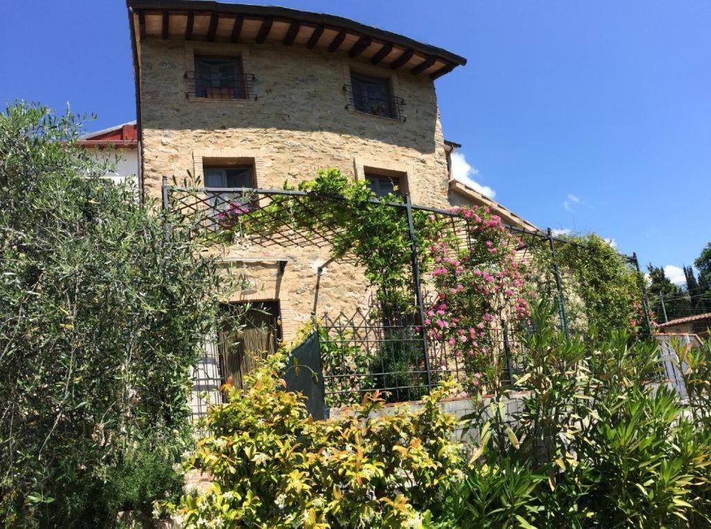La Casina Delle Rondini ξενώνας Corsanico-Bargecchia Εξωτερικό φωτογραφία