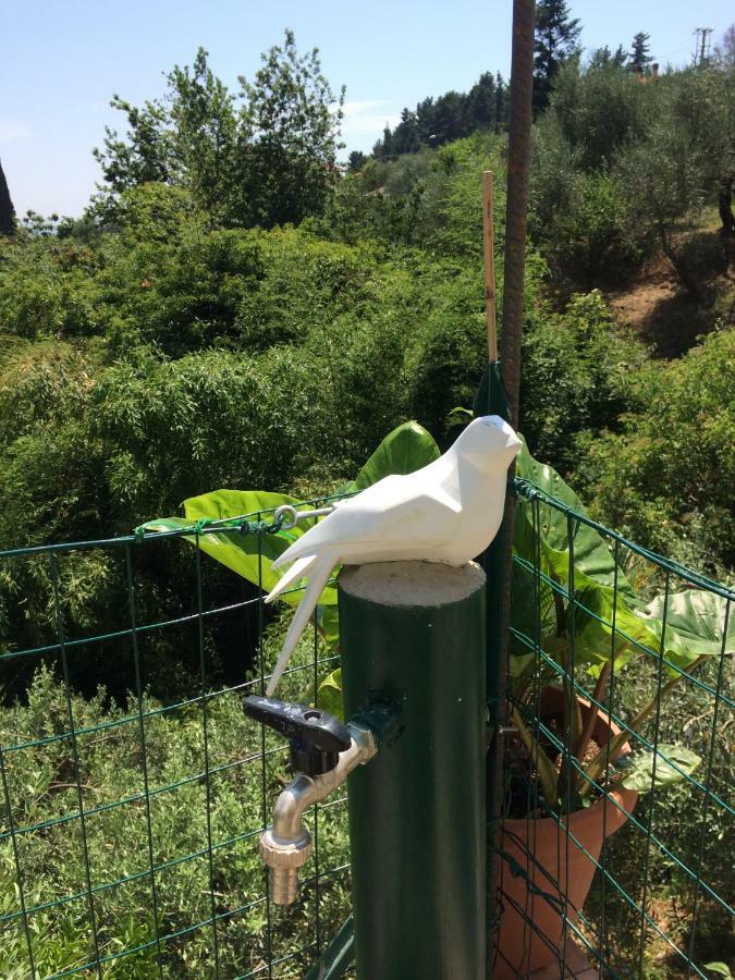 La Casina Delle Rondini ξενώνας Corsanico-Bargecchia Εξωτερικό φωτογραφία