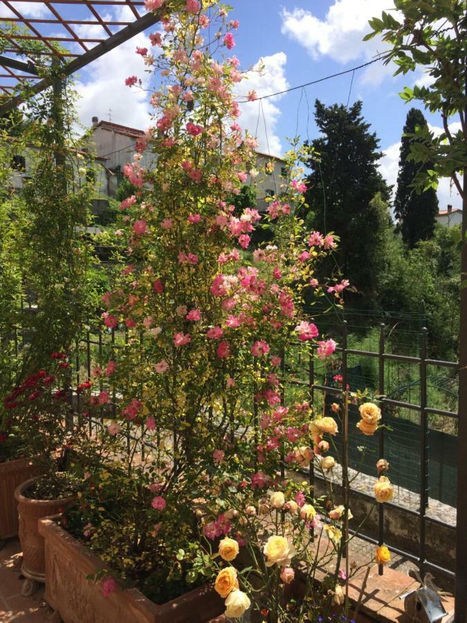 La Casina Delle Rondini ξενώνας Corsanico-Bargecchia Εξωτερικό φωτογραφία