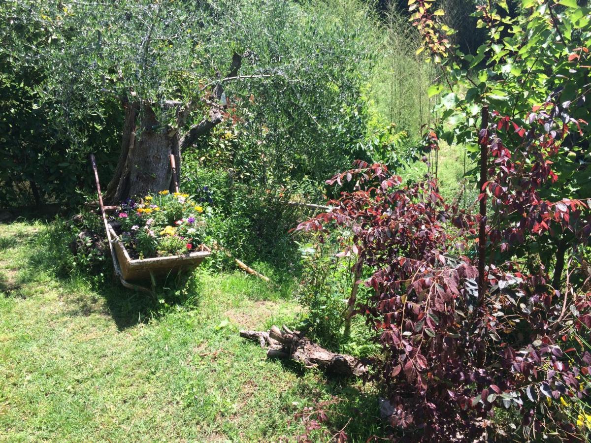 La Casina Delle Rondini ξενώνας Corsanico-Bargecchia Εξωτερικό φωτογραφία