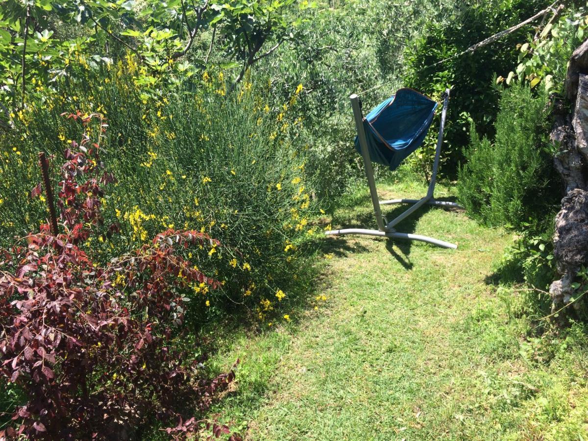 La Casina Delle Rondini ξενώνας Corsanico-Bargecchia Εξωτερικό φωτογραφία